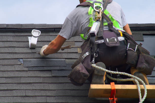 Best Flat Roof Repair Services  in Cheval, FL