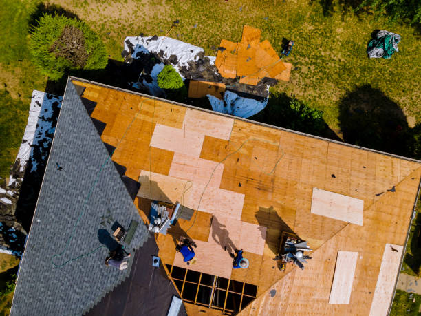 Quick and Trustworthy Emergency Roof Repair Services in Cheval, FL