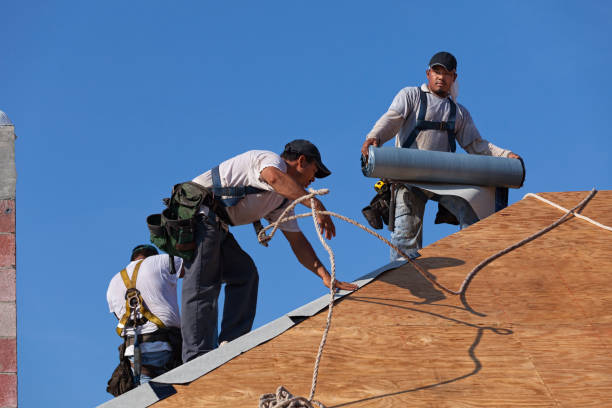 Best Roof Maintenance Services  in Cheval, FL