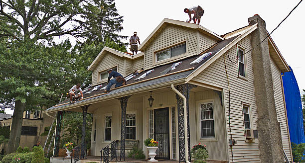 Residential Roof Replacement in Cheval, FL