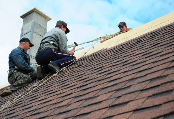 Best Storm Damage Roof Repair  in Cheval, FL