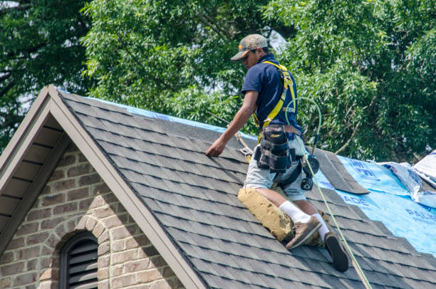 Gutter Installation and Roofing in Cheval, FL
